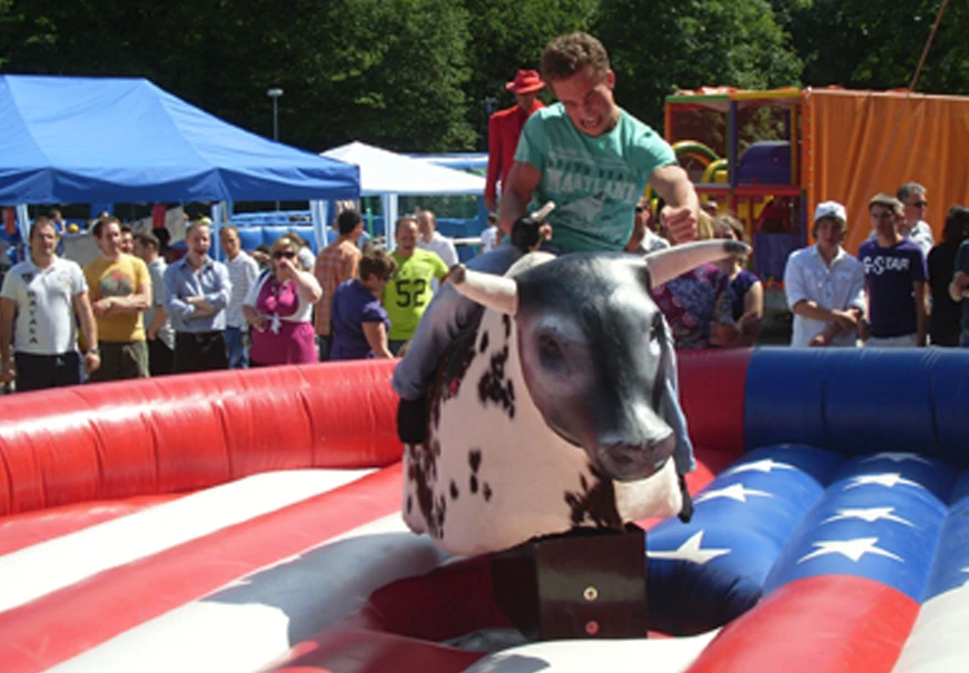 Bull Riding