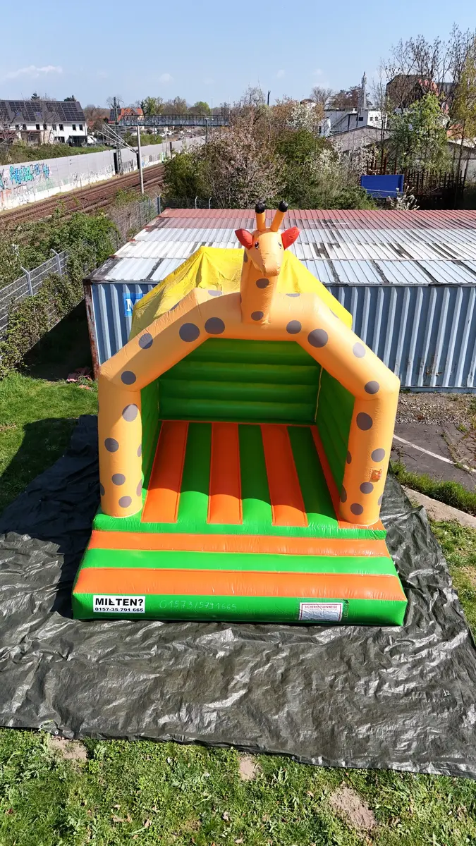 Giraffe