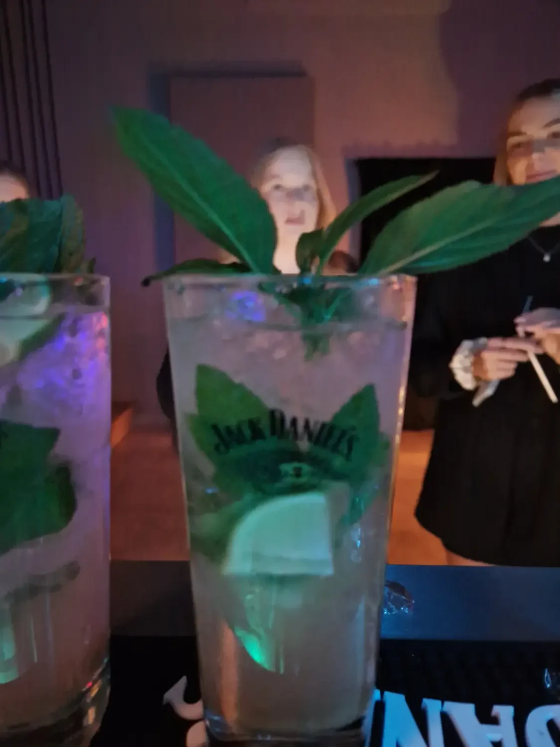 Cocktailpaket BIO – 100 Bio-Cocktails