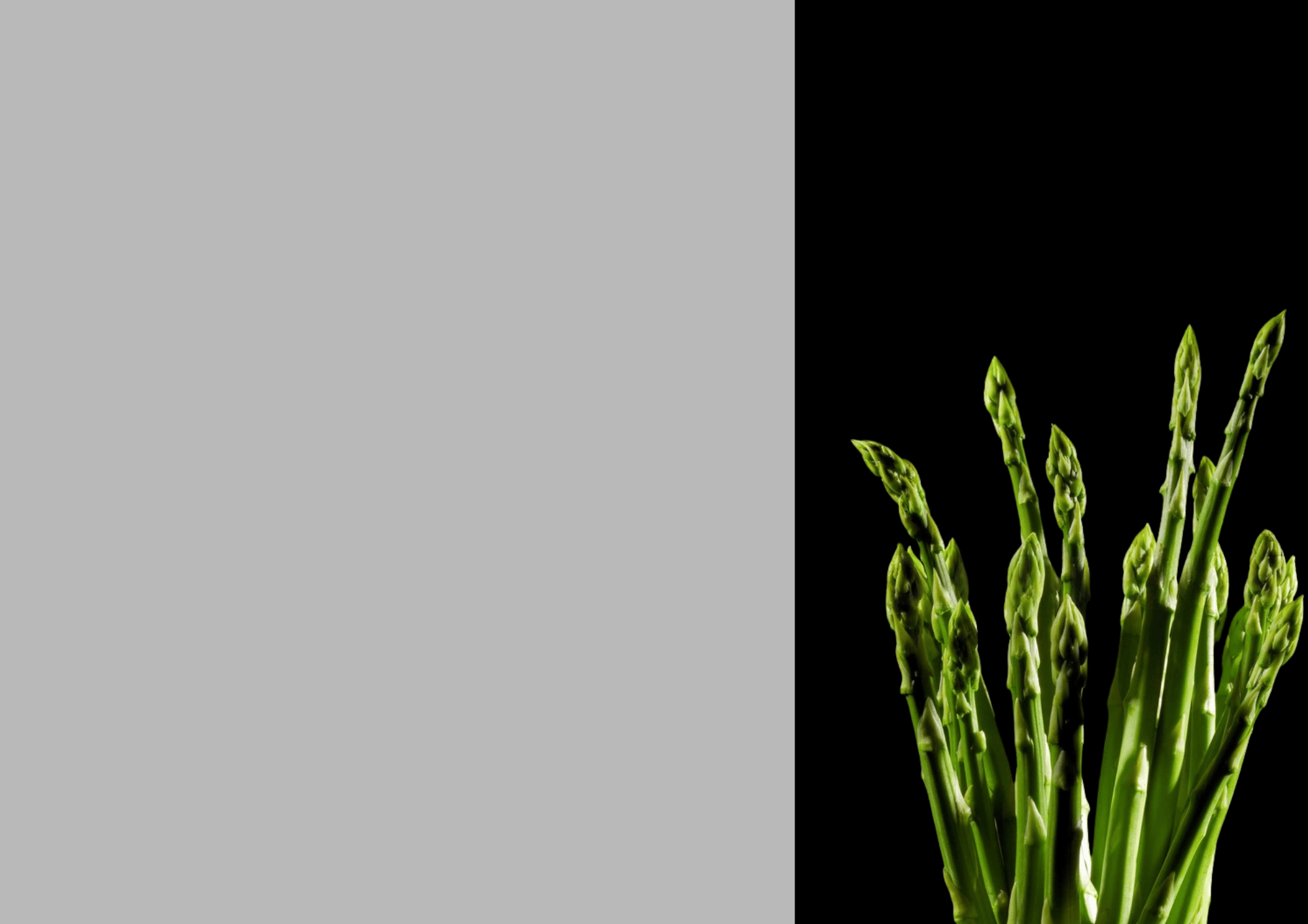 Event-Catering für Würzburg und Mainfranken