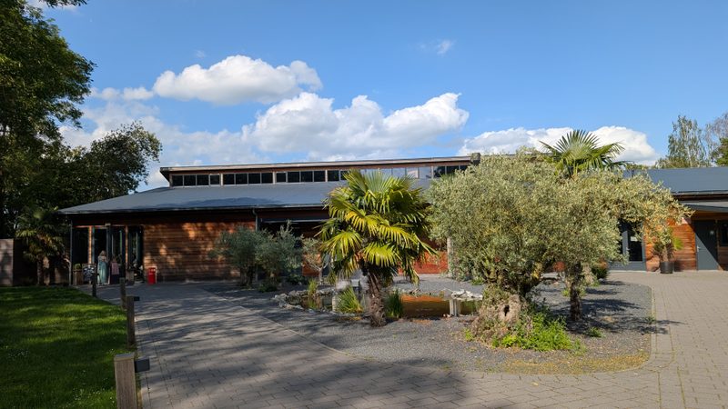 Aloha Beach House