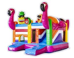 Multiplay Flamingo