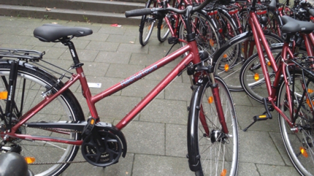 Trekkingbike-Verleih