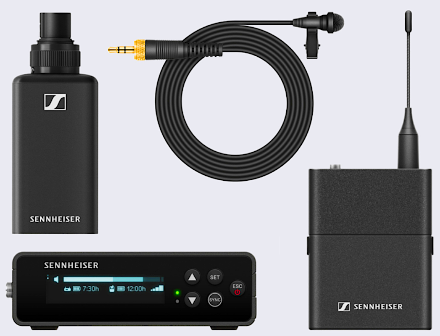 TON EICHINGER Professional Sound Systems