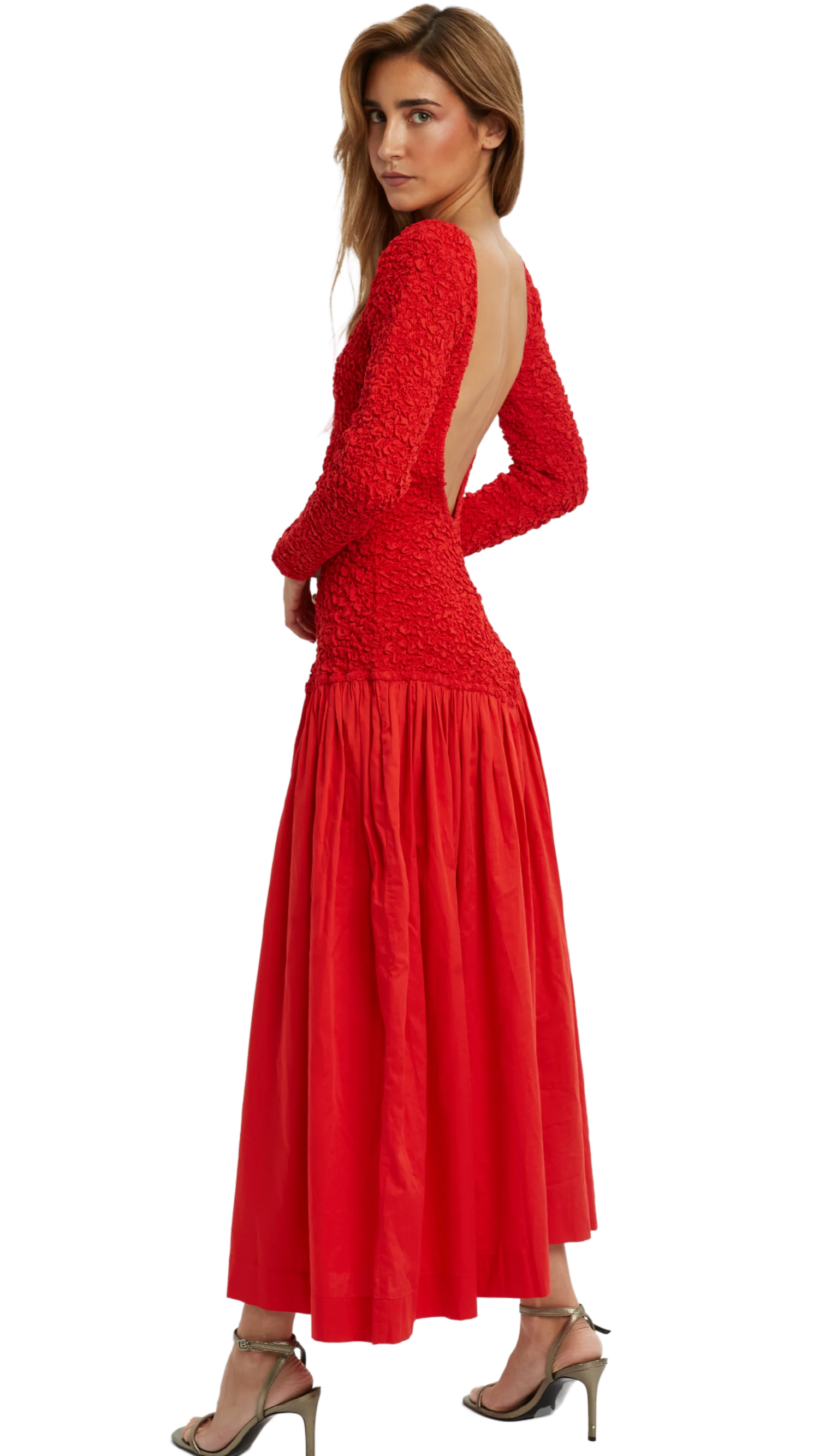 Exclusive Collection – Premium Designer Looks for Rent
