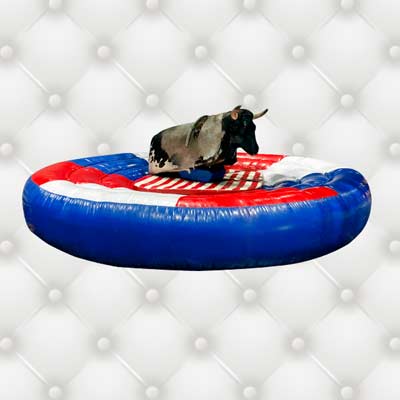 Bullriding