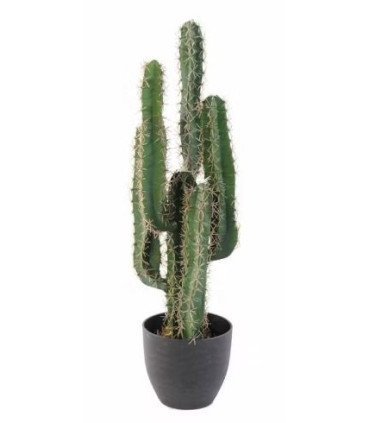 Cactus artificiel H 75 cm