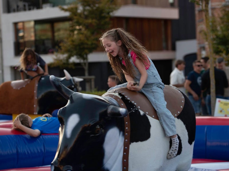 UK Rodeo Stier
