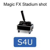Magic FX Stadium shot