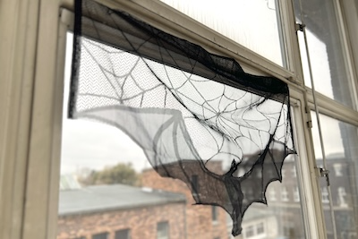 Fledermaus Gardine