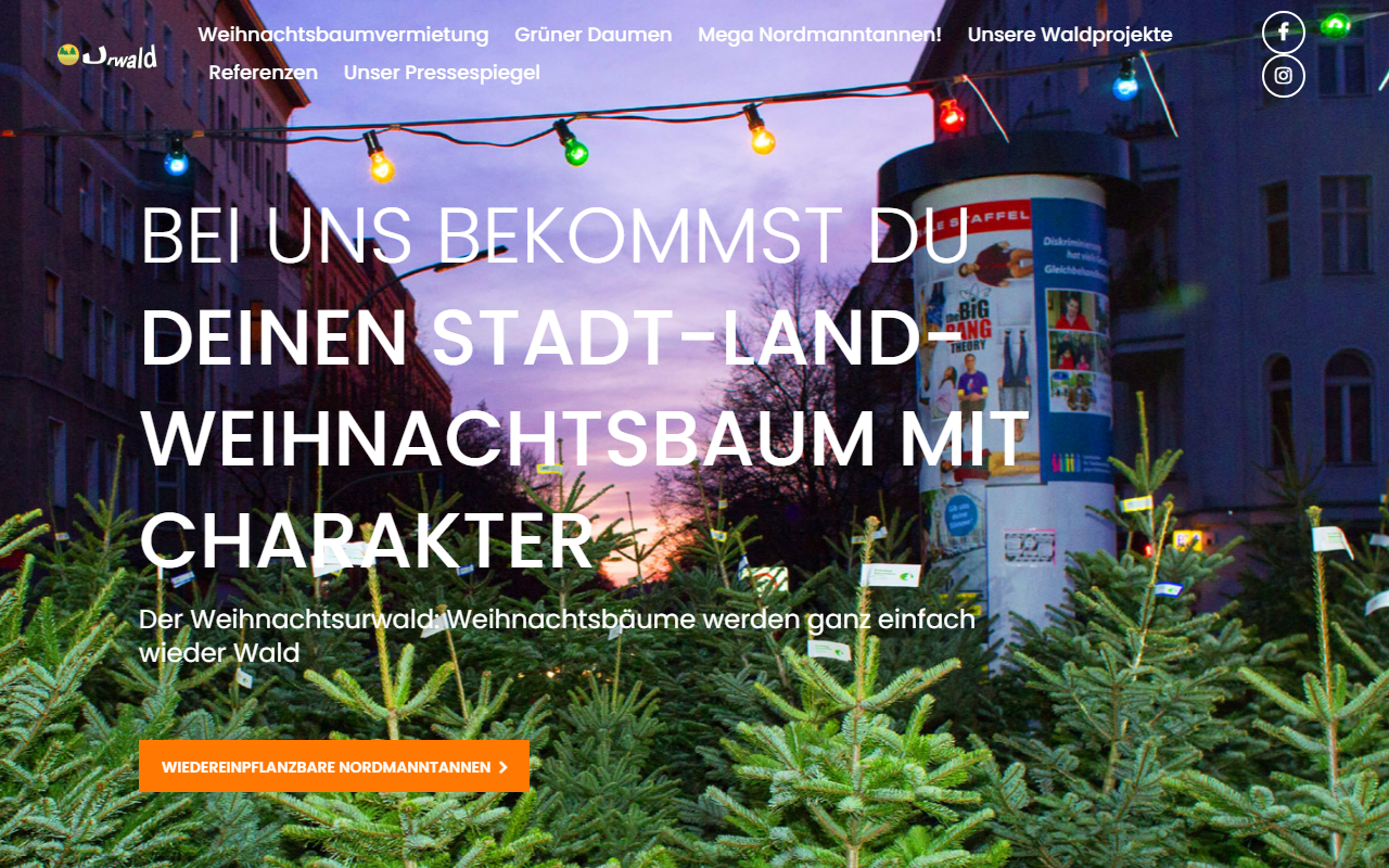 Weihnachtsurwald