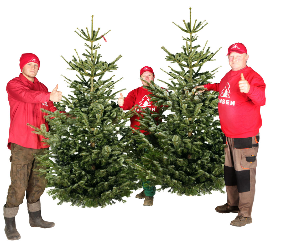 Geschmückter Weihnachtsbaum