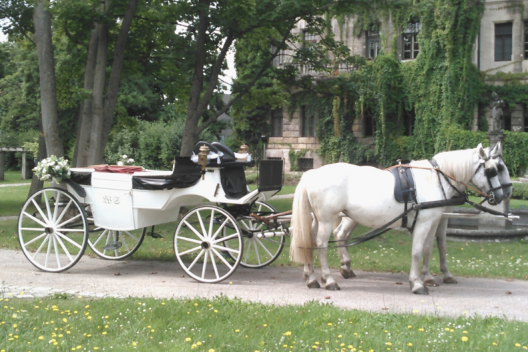 Hochzeitskutsche Nürnberg