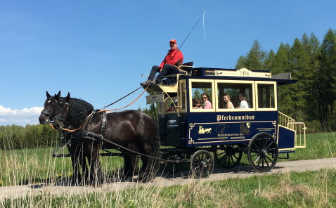 Die Pferdeomnibusse