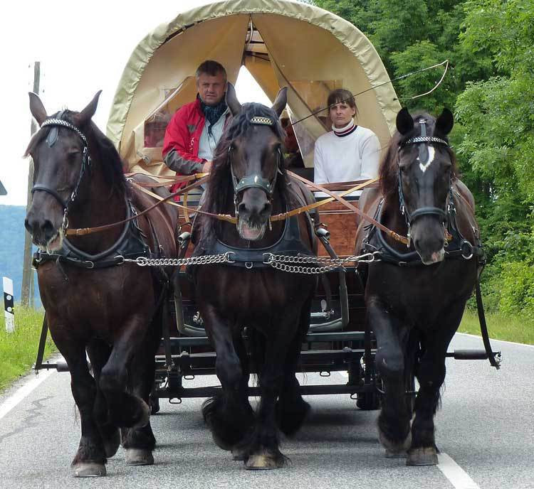 Planwagen/Kremser