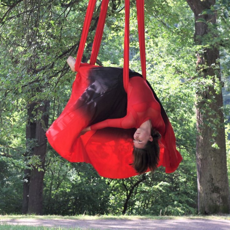 Just Mary - Dance Silk & Lyra Hoop