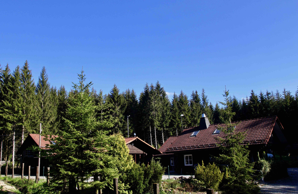 Steigerhaus Retreats Teamtage und Kulturentwicklung im Wald