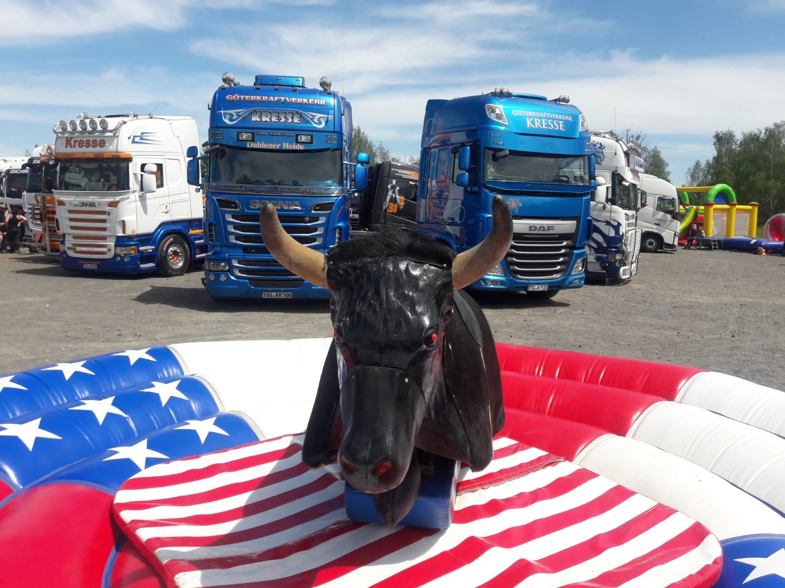 American- Bullriding, Rodeo-Bullen mieten